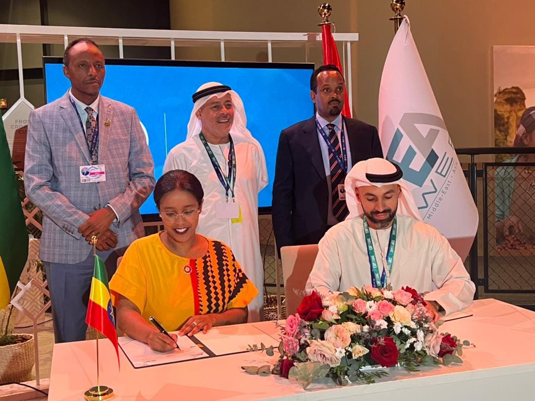 MEED | Amea Power to build $600m wind farm in Ethiopia - Vimarsana News